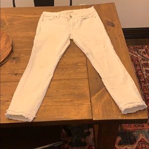 White Loft Petite Pants